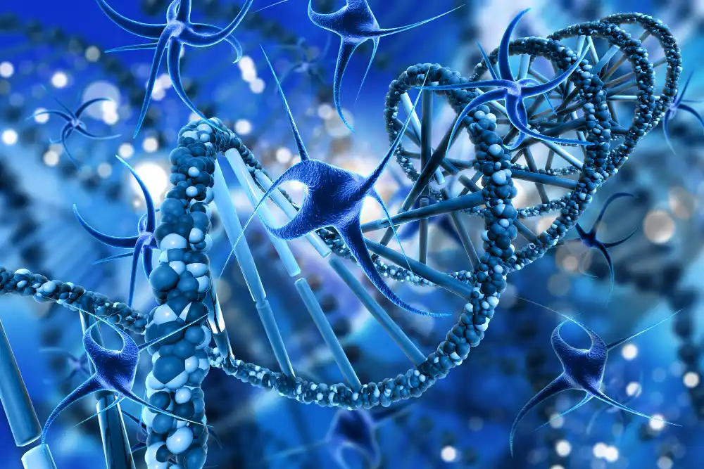 Certificate in Biomedical Engineering